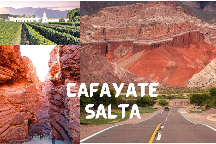 Cafayate Tour